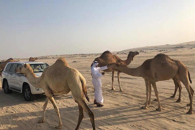 Desert Safari 7 Hours Tour with Dinner and Camp - Should You Book the Desert Safari?