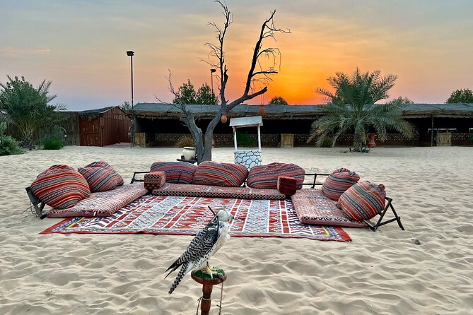 Desert Safari Abu Dhabi w/ Sand Boarding, Camel Ride & BBQ Dinner - Sandboarding for a quick taste of desert sport