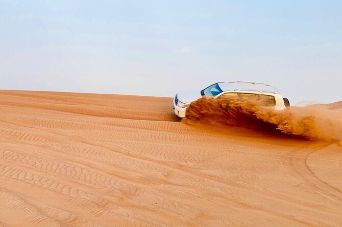 Desert safari adventure with BBQ dinner - The evening shows: fire, Tanoura, and belly dancing