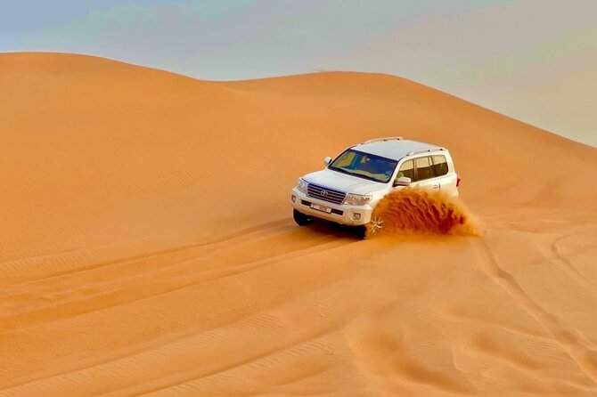 Desert safari adventure with BBQ dinner - BBQ buffet dinner and the timing question