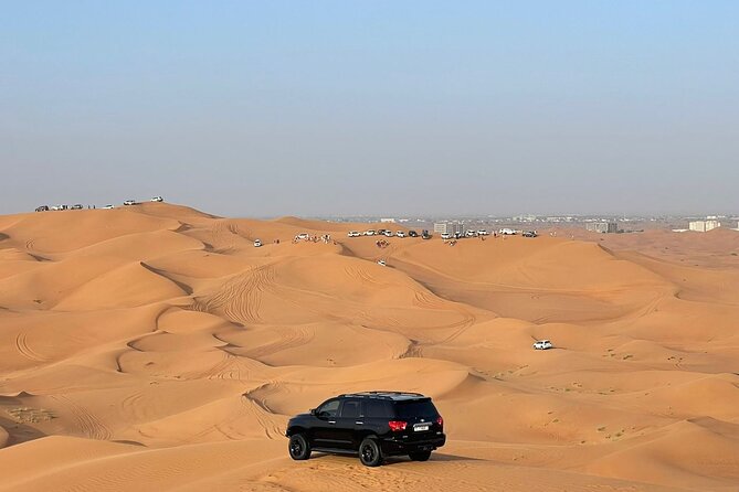 Desert safari adventure with BBQ dinner - Who will enjoy this desert safari most?