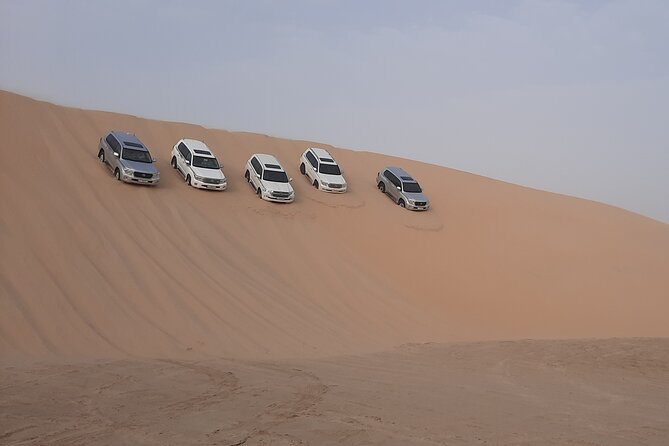 Desert Safari and Inland Sea(Private Tour) - Private touring changes the pace