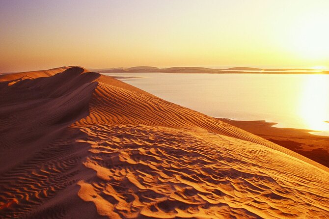 Desert Safari and Inland Sea(Private Tour) - Dune bashing turns the desert into an active ride