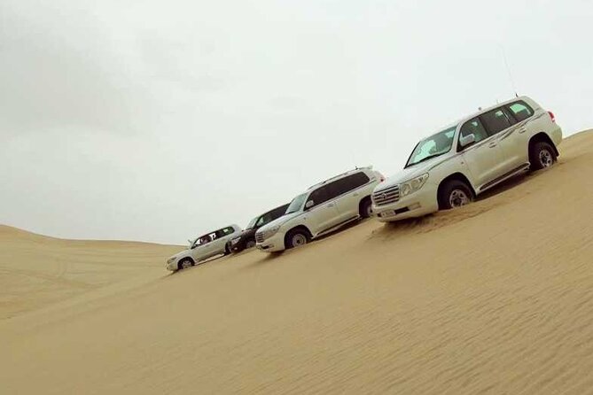 Desert Safari, Camel ride and Inland Sea Tour - Dune bashing across the Qatari desert