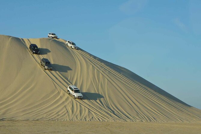 Desert Safari, Camel ride and Inland Sea Tour - Is $84 a good price?