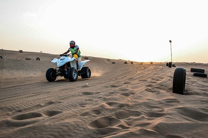 Desert Safari, City Tour & Dhow Cruise in Marina Enjoy In Dubai - What $110 buys you
