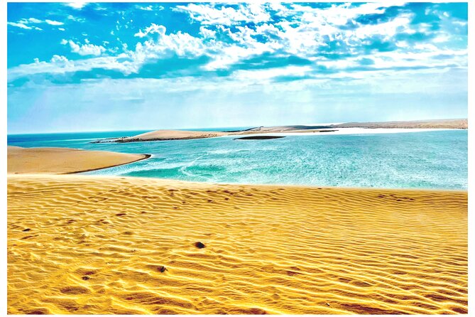 Desert Safari Combo: Camel Ride, Sandboarding & Inland Sea Visit - From Doha to Sealine Beach