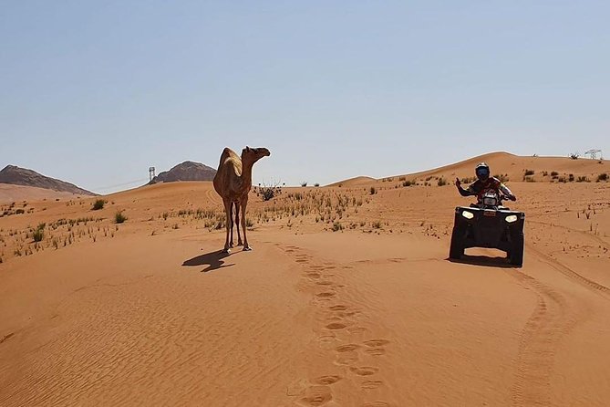 Desert Safari Dubai (PREMIUM VIP) - BBQ dinner, drinks, and VIP seating