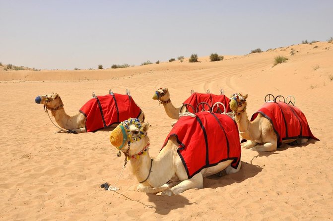 Desert Safari Dubai Tour with Dune Bashing, Camel Ride, & BBQ - Key points at a glance