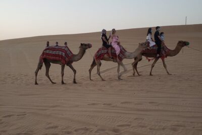 Desert Safari Dubai with Buffet Dinner & 3 live shows