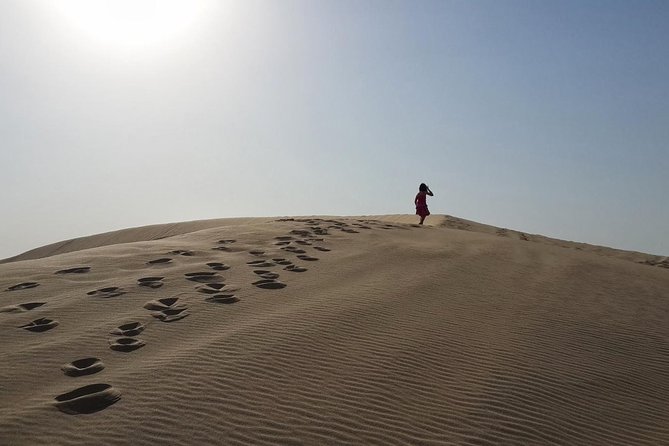 Desert safari, Dune bashing, sandboarding, camel, ATV Option - Dune bashing brings the real rush