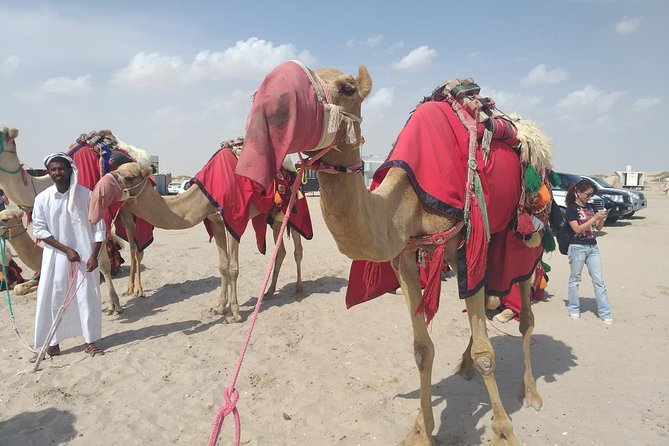 Desert safari, Dune bashing, sandboarding, camel, ATV Option - Sandboarding is easy to try, harder to master