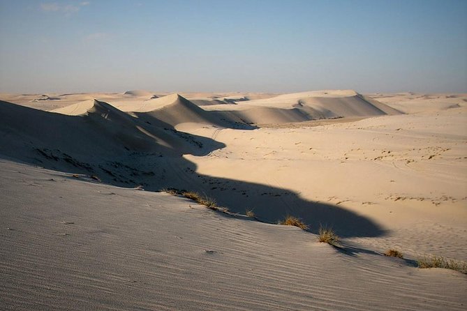 Desert safari, Dune bashing, sandboarding, camel, ATV Option - Khor Al Adaid is the quiet highlight