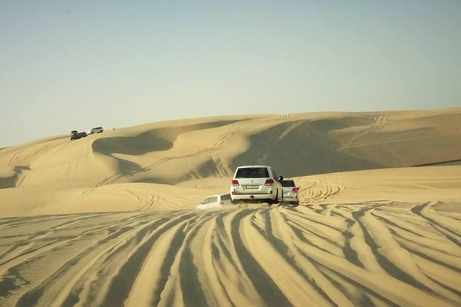 Desert safari, Dune bashing, sandboarding, camel, ATV Option - Guides can shape the whole outing
