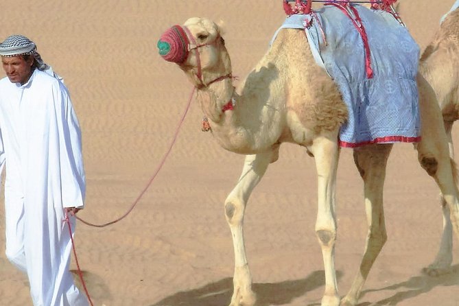 Desert safari, Dune bashing, sandboarding, camel, ATV Option - The camel stop is short but useful