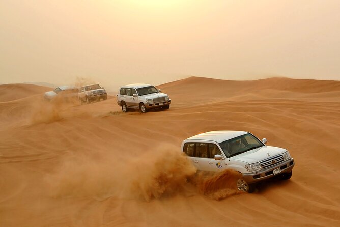 Desert Safari Experience with Dune Bashing and Dinner in Dubai - Camel farm and the desert’s working animal