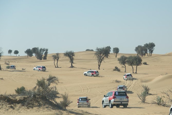 Desert Safari in Dubai with full package - no hidden cost - The 3:00 pm pickup and shared 4x4 ride