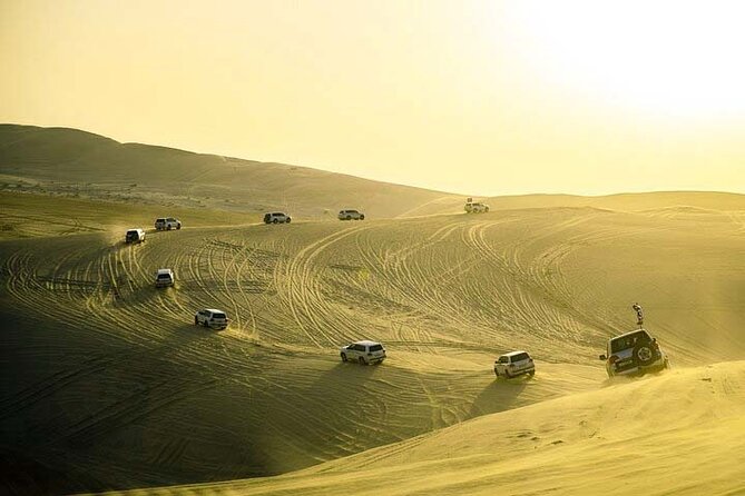 Desert safari Inland Sea Private Tour - Who will enjoy this private safari most