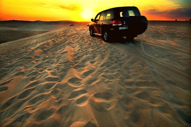 Desert Safari – Morning, Afternoon, Sunrise & Sunset Options - Pickup from Doha, the airport, or the port