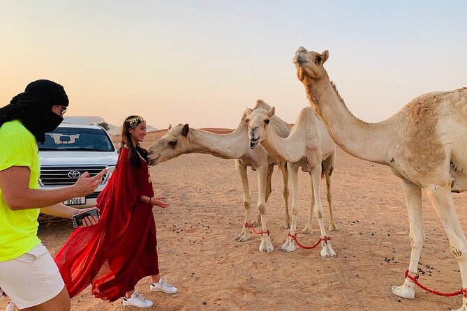 Desert Safari, Open Desert Quad Bike Experience with BBQ Dinner - BBQ dinner and the evening camp program