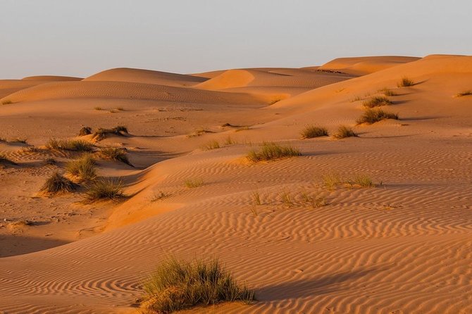 Desert Safari Private - Wahiba Sands and the shape of the dunes