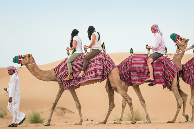 Desert Safari Qatar - The dune bash: fast, steep, and not for everyone