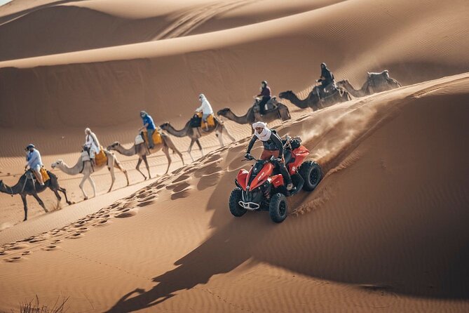 Desert Safari Qatar - Timing, weather, and cancellation rules