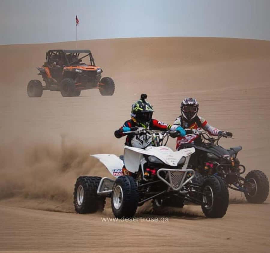 Desert Safari, Quad Bike, Camel Ride, Falcon & Sandboarding - Why this safari works for a short Doha stay