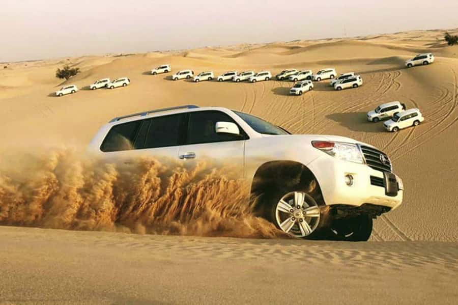 Desert Safari, Quad Bike, Camel Ride, Falcon & Sandboarding - Mesaieed quad biking: 30 minutes on the dunes