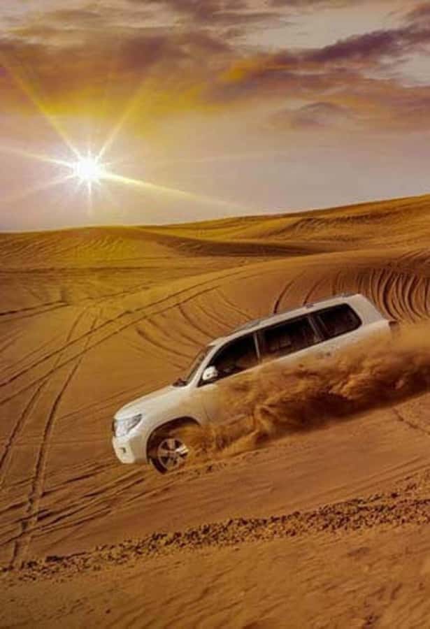 Desert Safari, Quad Bike, Camel Ride, Falcon & Sandboarding - Khor Al Udeid, Qatar’s inland sea