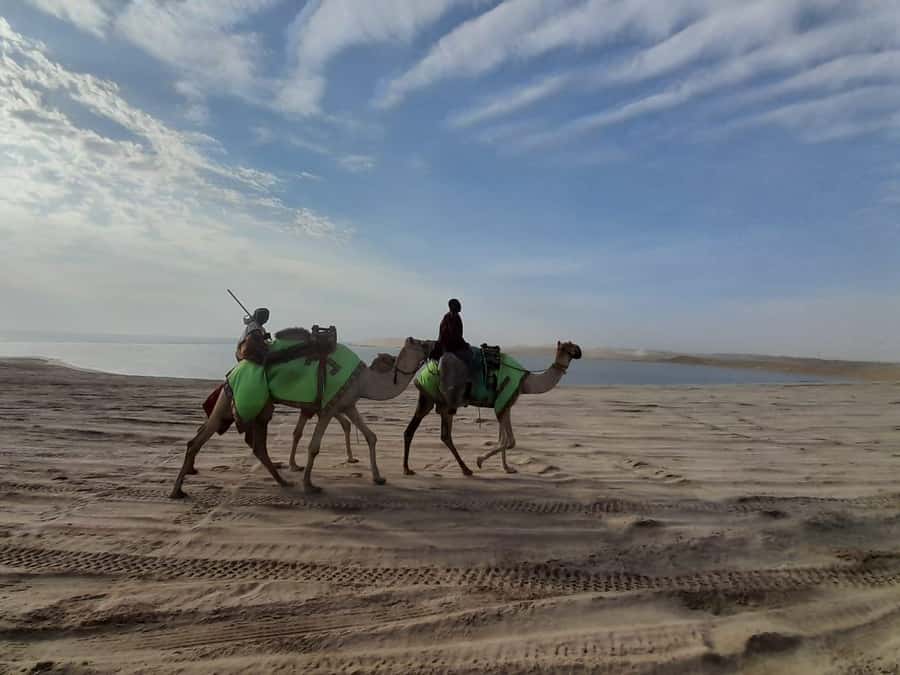 Desert Safari, Quad Bike, Camel Ride, Falcon & Sandboarding - What $52 includes, and where the value lies