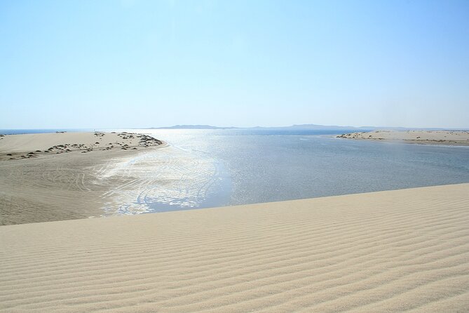 Desert Safari, Quad Bike, Sandboarding and Camel Ride - How the guides shape the day