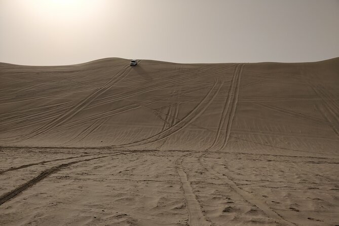 Desert Safari, Quad Bike, Sandboarding and Camel Ride - What the $100 price really includes