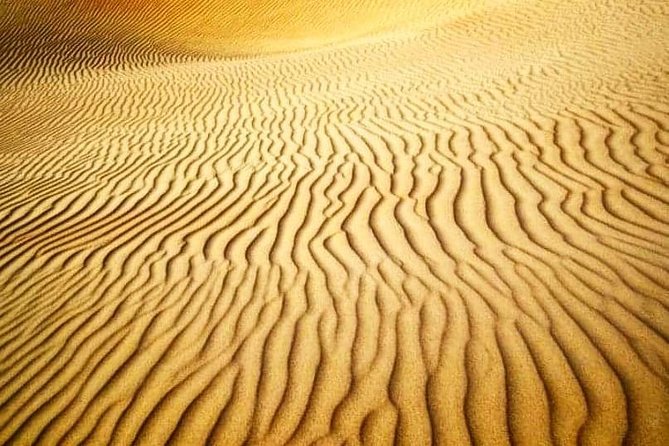 Desert Safari Red Dunes with Camel Ride, Sandboard, BBQ and Shows - Sandboarding, camels, and camp activities