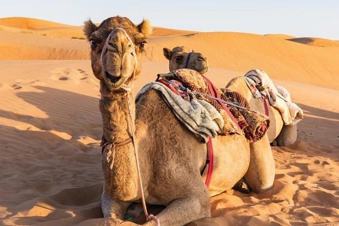 Desert Safari Sharing Tours - From Muscat to the Wahiba Sands