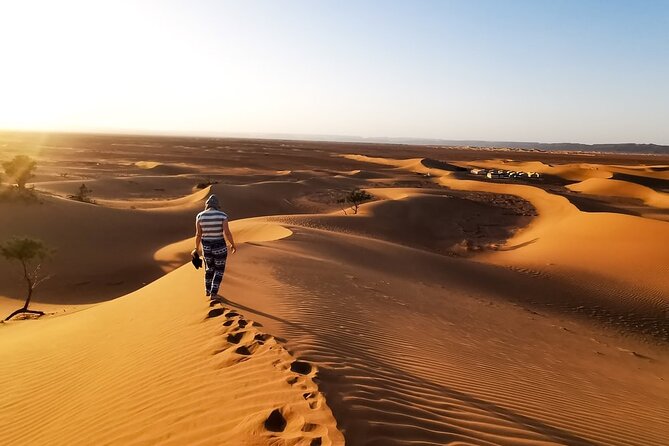 Desert Safari With BBQ Dinner, Quad Ride And And Sand-boarding - Henna, camel riding, and stage shows