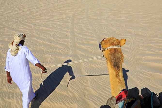 Desert Safari with Camel Ride, Sand Boarding & Inland Sea Tour in Doha - Morning or afternoon?