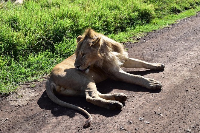 Discover The World's Top Best 4-day Tanzania Group Camping safari - Who should choose this trip
