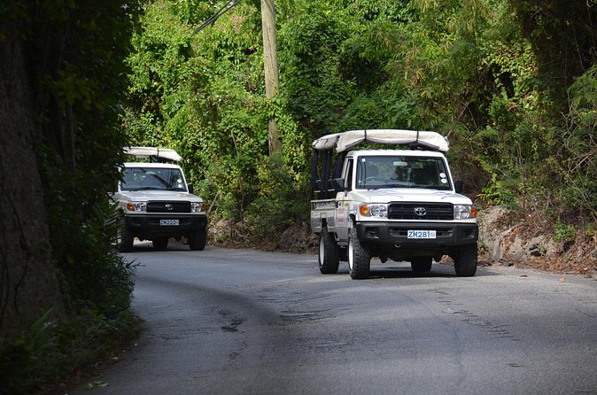 Discovery Safari - Horse Hill and a glimpse of old Barbados