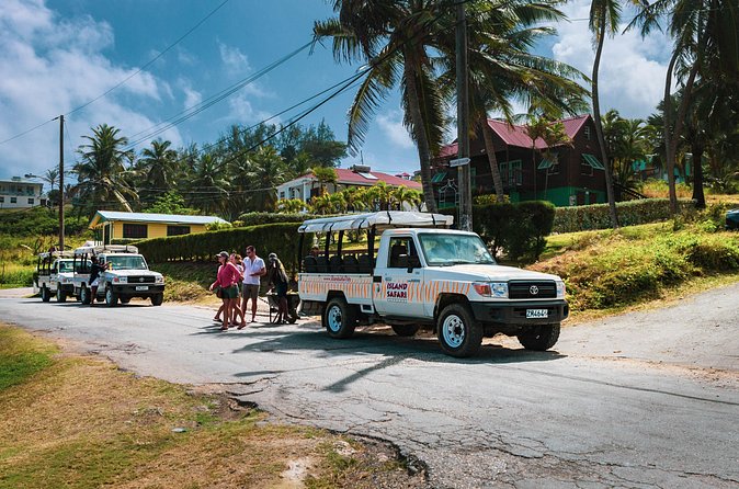 Discovery Safari - Brandons Beach is your final reward