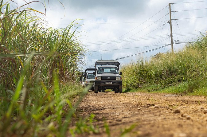 Discovery Safari - Guides, group size, and the pace of the morning