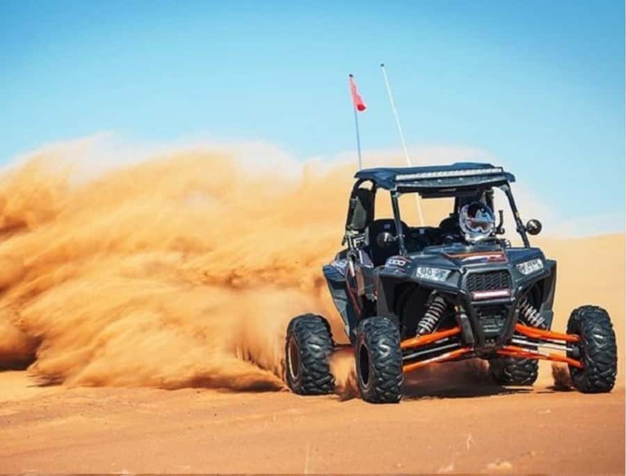 Doha Adventure Quad Bike Safari, Camel Ride & Refreshments - Booking details worth checking