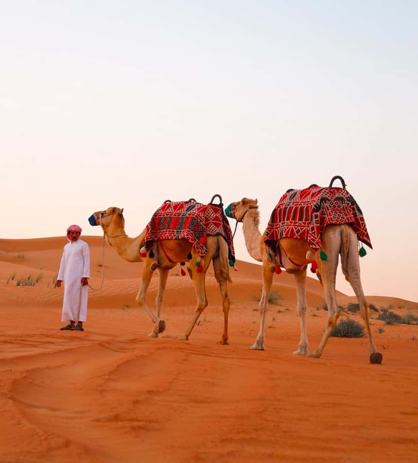 Doha: ATV/Desert Safari with Activities and Inland Sea Stop - Is $19 good value?