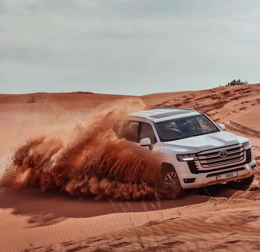 Doha: ATV/Desert Safari with Activities and Inland Sea Stop - Camels, first views, and a slower desert pause