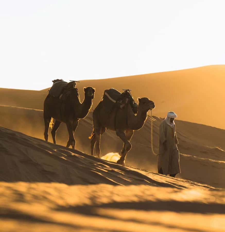 Doha: ATV/Desert Safari with Activities and Inland Sea Stop - Golden Dunes dune bashing