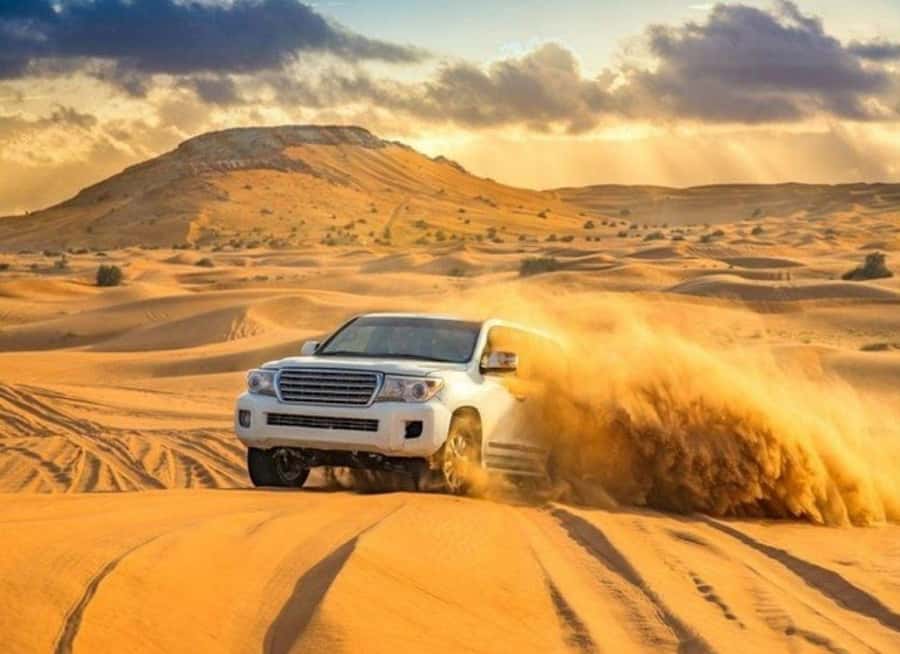 Doha: Budget Friendly Desert Safari,CamelRide & Sandboarding - The four-hour route through the desert