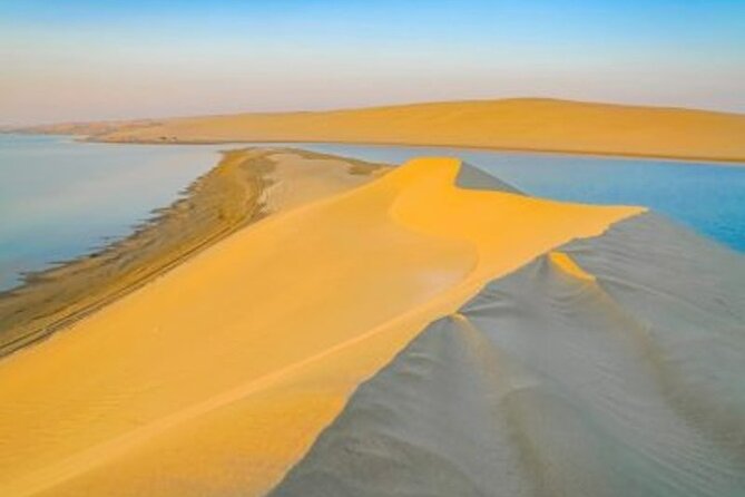 Doha Desert Safari Camel Ride, Sandboarding and Inland Sea - Sandboarding on Qatar’s dunes