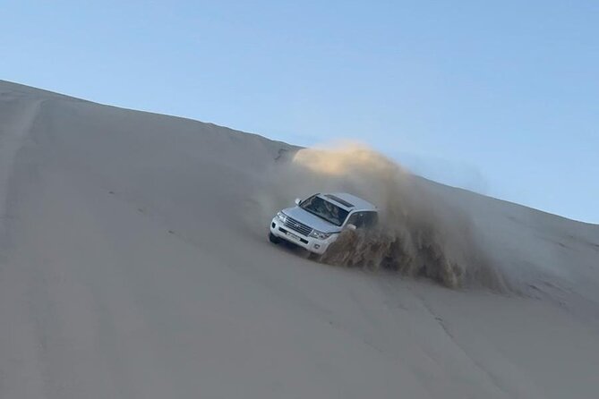 Doha Desert Safari Dune Bashing Camel Ride - The Inland Sea, where sand meets water