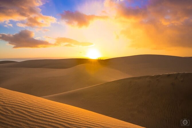 Doha Desert Safari Dune Bashing Camel Ride Sandboarding - Why the desert and sea combination works so well