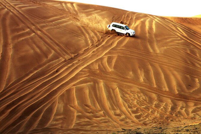 Doha Desert Safari Dune Bashing Camel Ride Sandboarding - What the guide can add to the day